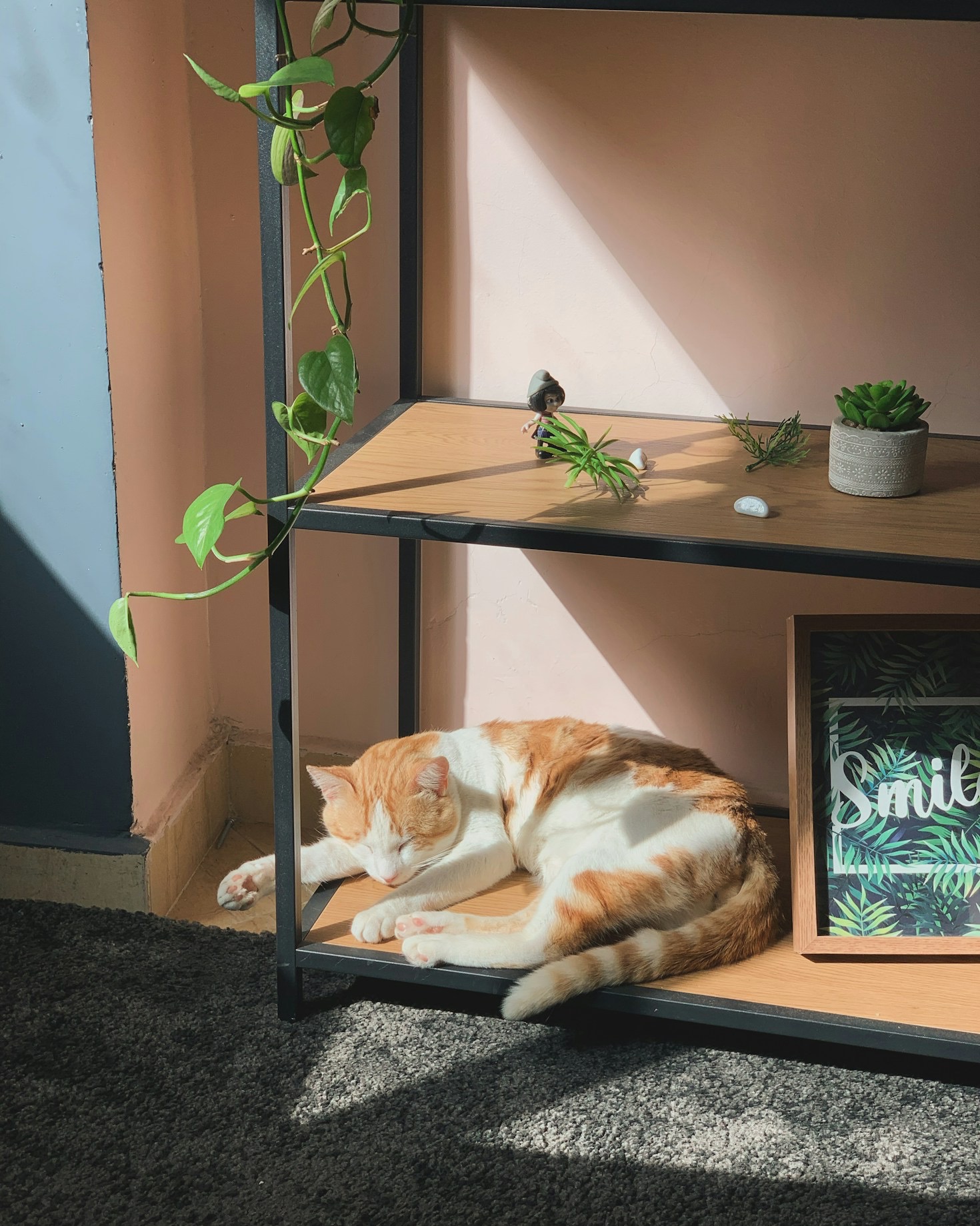 Crafting Hope: How Handmade Goods Support Cats